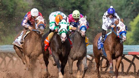 2022 Preakness Stakes horses, contenders, odds, date: Expert who call.